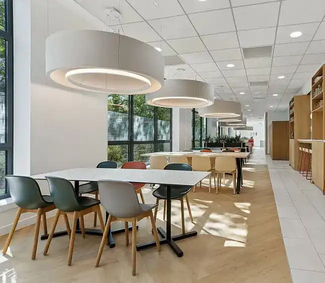 Suspensions acoustiques restaurant entreprise